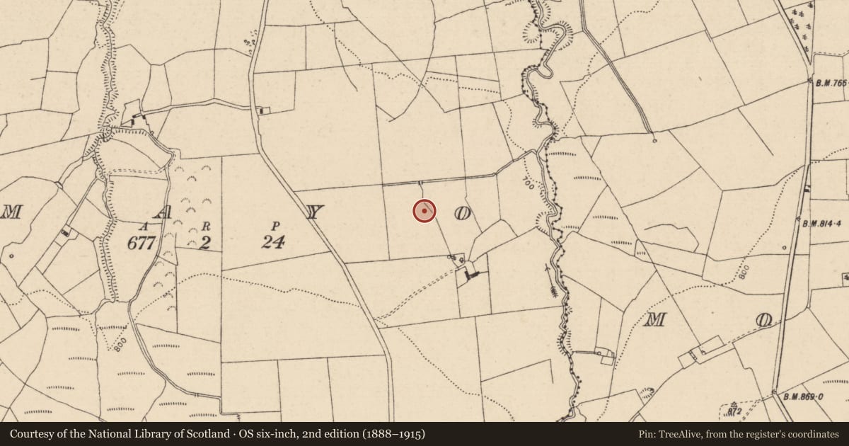 Ordnance Survey six-inch map, 2nd edition (1888–1915) covering the location of Cairn - unclassified, Mayo, County Laois, with a pin at the register's coordinates