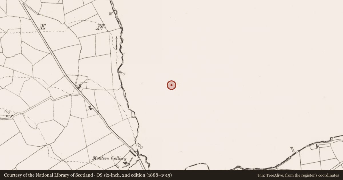 Ordnance Survey six-inch map, 2nd edition (1888–1915) covering the location of Church, Kilgory, County Laois, with a pin at the register's coordinates