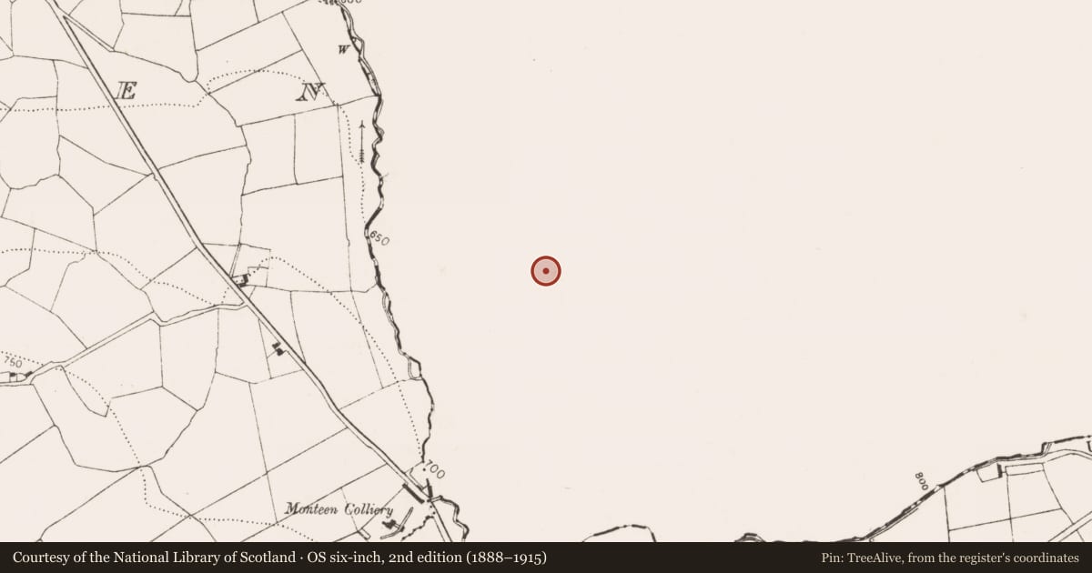 Ordnance Survey six-inch map, 2nd edition (1888–1915) covering the location of Graveyard, Kilgory, County Laois, with a pin at the register's coordinates