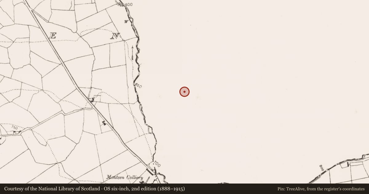 Ordnance Survey six-inch map, 2nd edition (1888–1915) covering the location of Ritual site - holy tree/bush, Kilgory, County Laois, with a pin at the register's coordinates