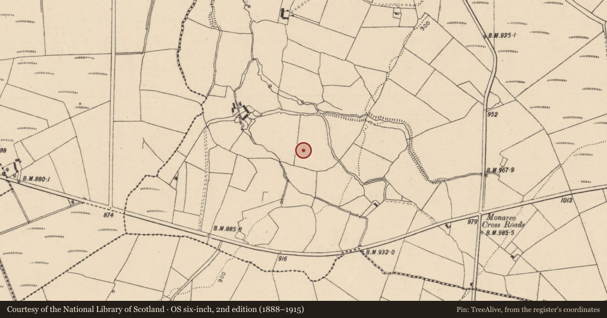 Ordnance Survey six-inch map, 2nd edition (1888–1915) covering the location of Enclosure, Monavea, County Laois, with a pin at the register's coordinates