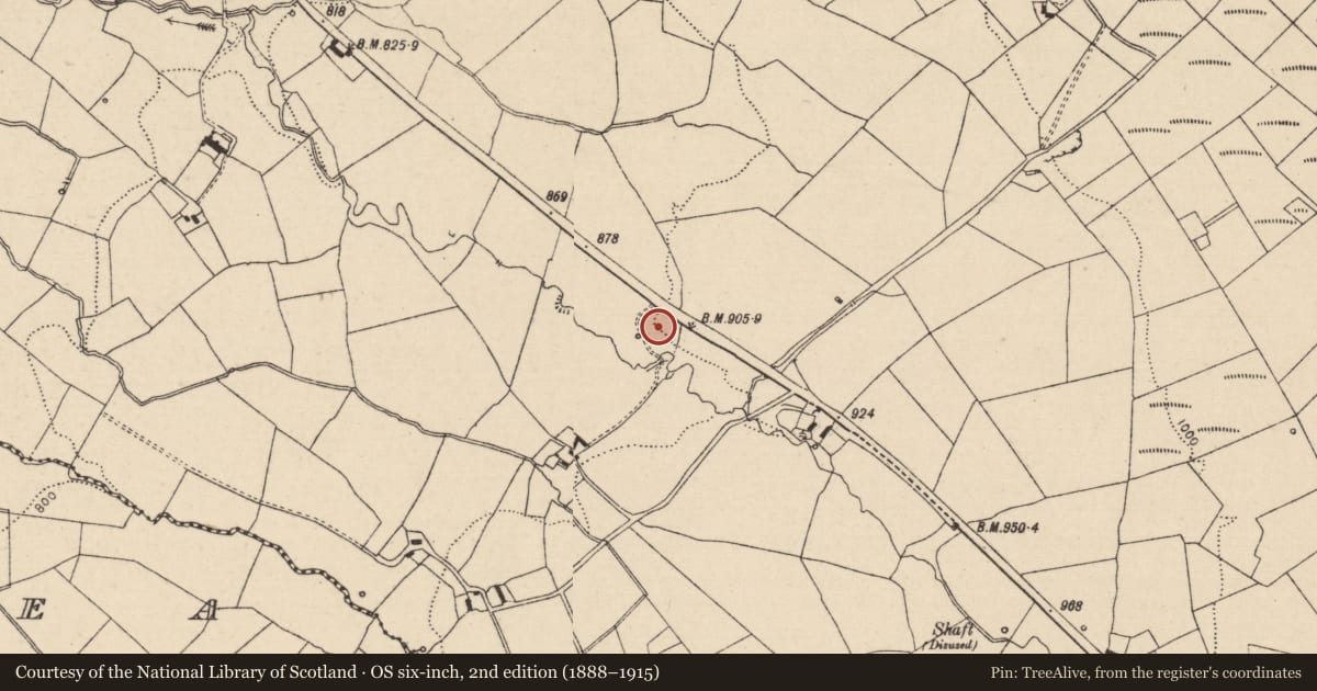 Ordnance Survey six-inch map, 2nd edition (1888–1915) covering the location of Enclosure, Ardateggle, County Laois, with a pin at the register's coordinates