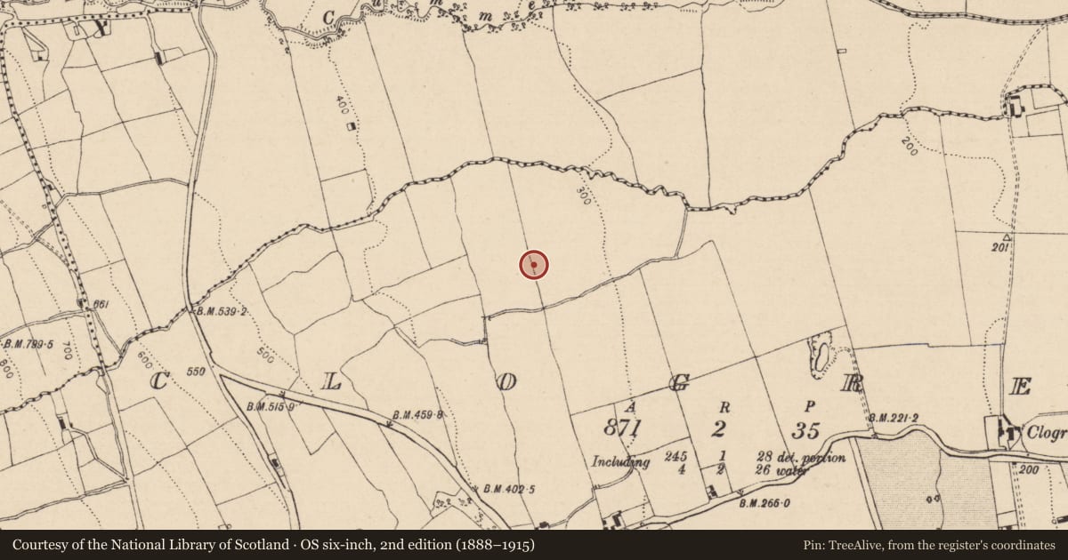 Ordnance Survey six-inch map, 2nd edition (1888–1915) covering the location of Ringfort - unclassified, Clogrenan, County Laois, with a pin at the register's coordinates