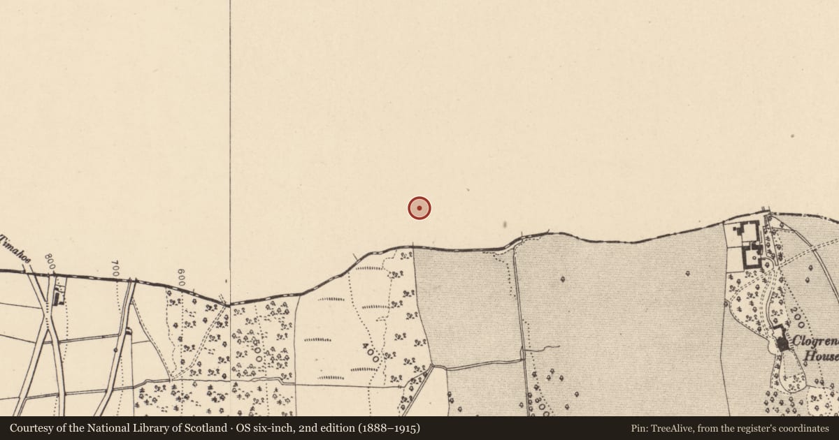Ordnance Survey six-inch map, 2nd edition (1888–1915) covering the location of Ringfort - rath, Clogrenan, County Laois, with a pin at the register's coordinates