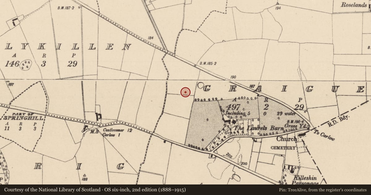 Ordnance Survey six-inch map, 2nd edition (1888–1915) covering the location of Burnt spread, Graigue, County Laois, with a pin at the register's coordinates