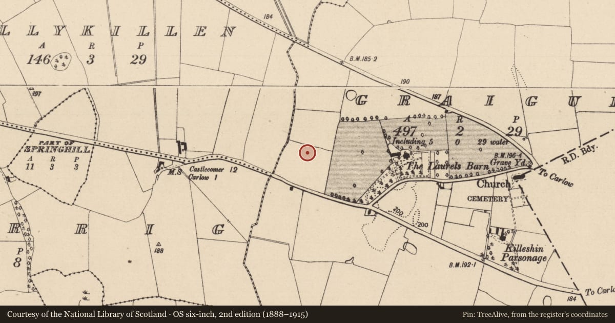 Ordnance Survey six-inch map, 2nd edition (1888–1915) covering the location of Burnt spread, Graigue, County Laois, with a pin at the register's coordinates