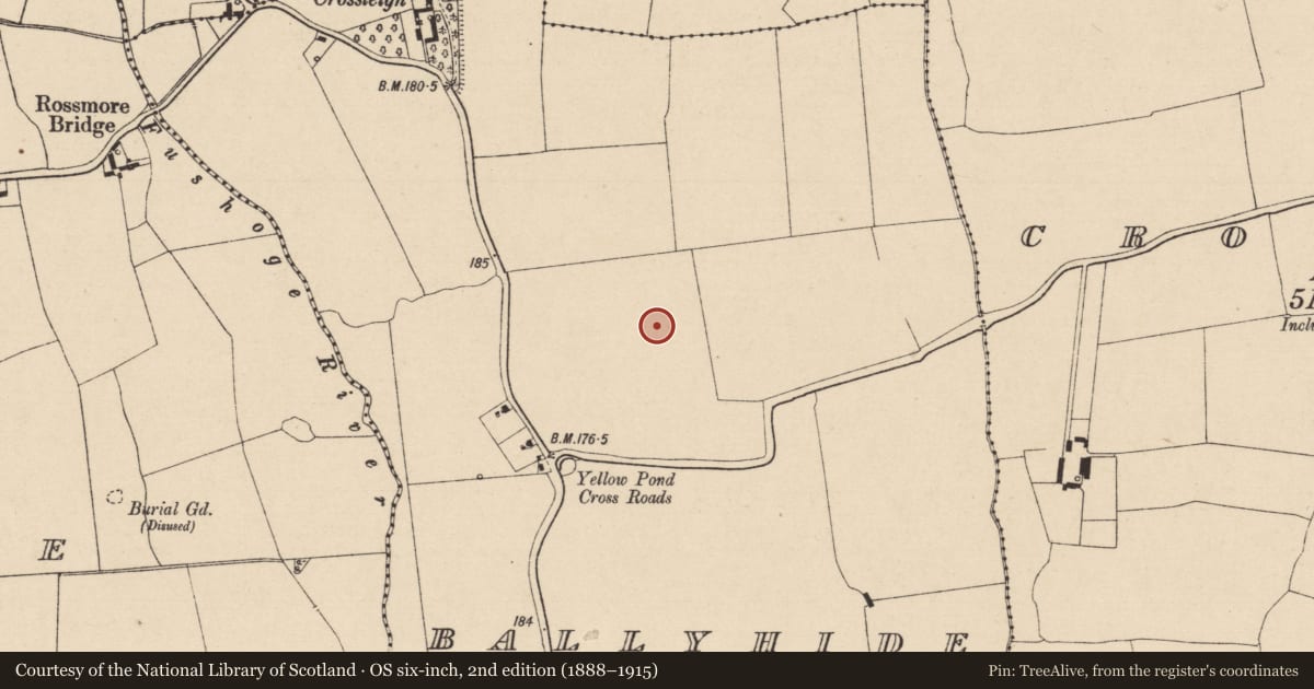 Ordnance Survey six-inch map, 2nd edition (1888–1915) covering the location of Enclosure, Ballyhide, County Laois, with a pin at the register's coordinates