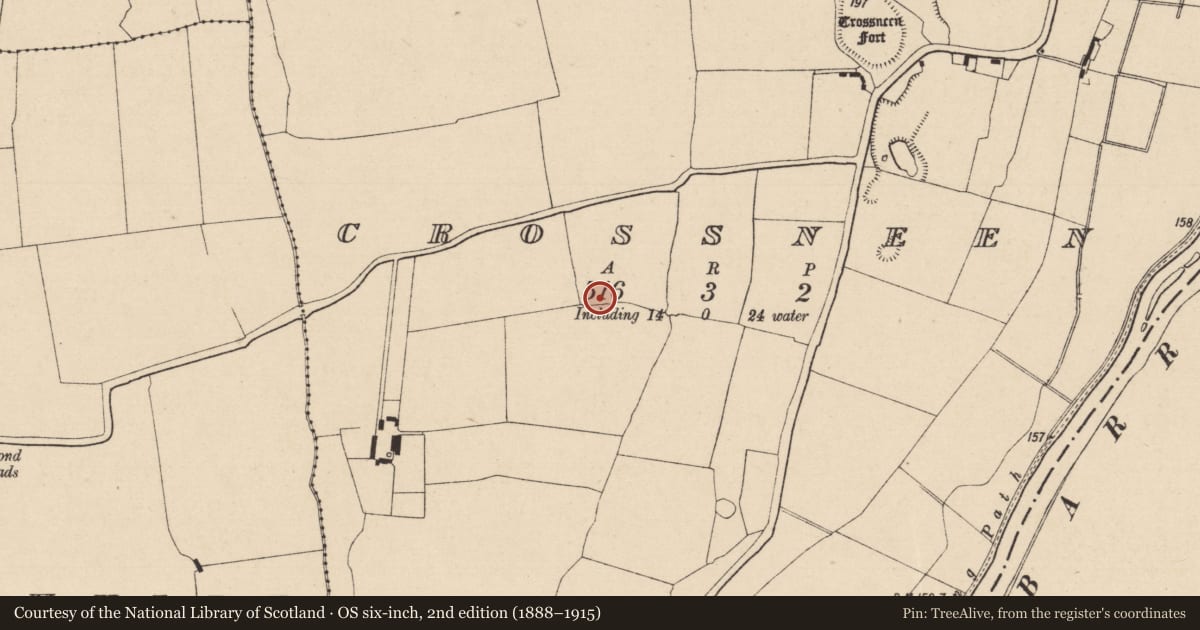 Ordnance Survey six-inch map, 2nd edition (1888–1915) covering the location of Ring-ditch, Crossneen, County Laois, with a pin at the register's coordinates