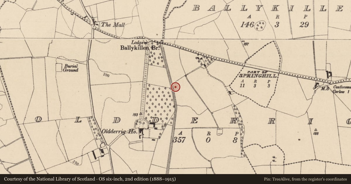 Ordnance Survey six-inch map, 2nd edition (1888–1915) covering the location of Earthwork, Oldderrig, County Laois, with a pin at the register's coordinates