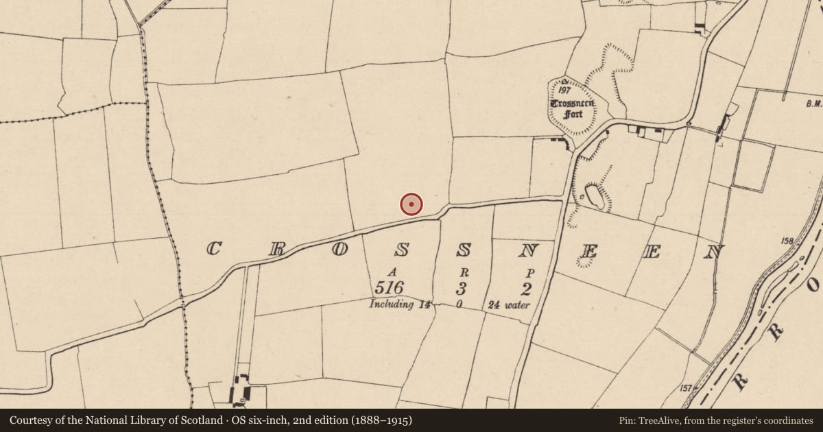 Ordnance Survey six-inch map, 2nd edition (1888–1915) covering the location of Ring-ditch, Crossneen, County Laois, with a pin at the register's coordinates