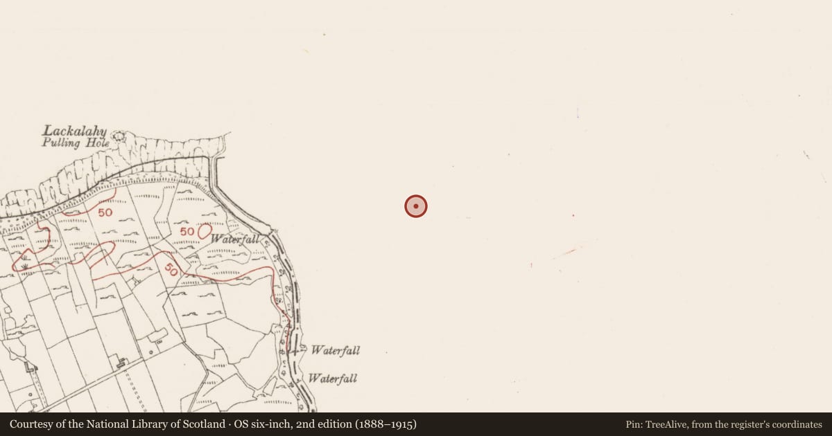 Ordnance Survey six-inch map, 2nd edition (1888–1915) covering the location of House - indeterminate date, Bunduff, County Leitrim, with a pin at the register's coordinates