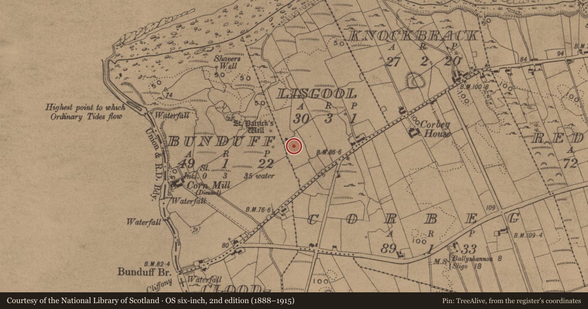 Ordnance Survey six-inch map, 2nd edition (1888–1915) covering the location of Ringfort - rath, Lisgool, County Leitrim, with a pin at the register's coordinates