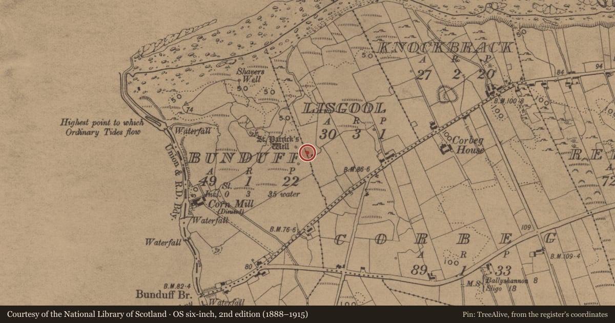 Ordnance Survey six-inch map, 2nd edition (1888–1915) covering the location of House - indeterminate date, Lisgool, County Leitrim, with a pin at the register's coordinates