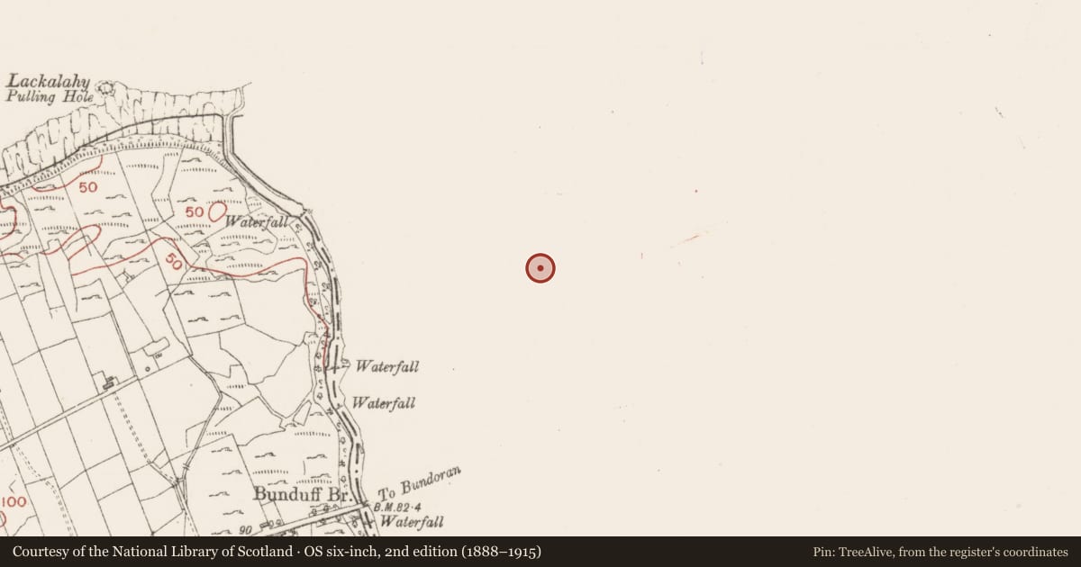 Ordnance Survey six-inch map, 2nd edition (1888–1915) covering the location of Ritual site - holy well, Bunduff, County Leitrim, with a pin at the register's coordinates