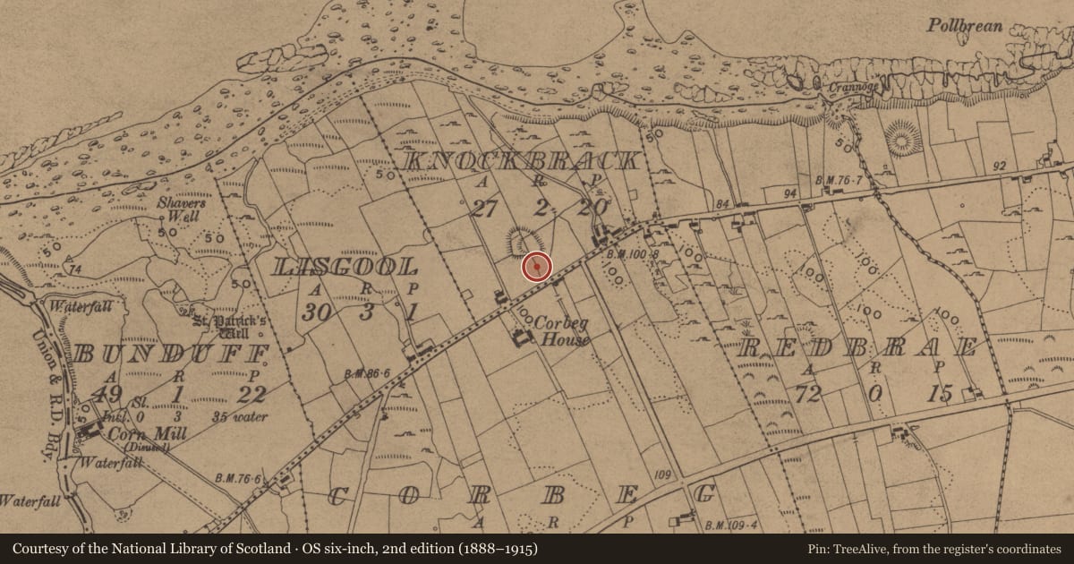 Ordnance Survey six-inch map, 2nd edition (1888–1915) covering the location of Ringfort - rath, Knockbrack, County Leitrim, with a pin at the register's coordinates