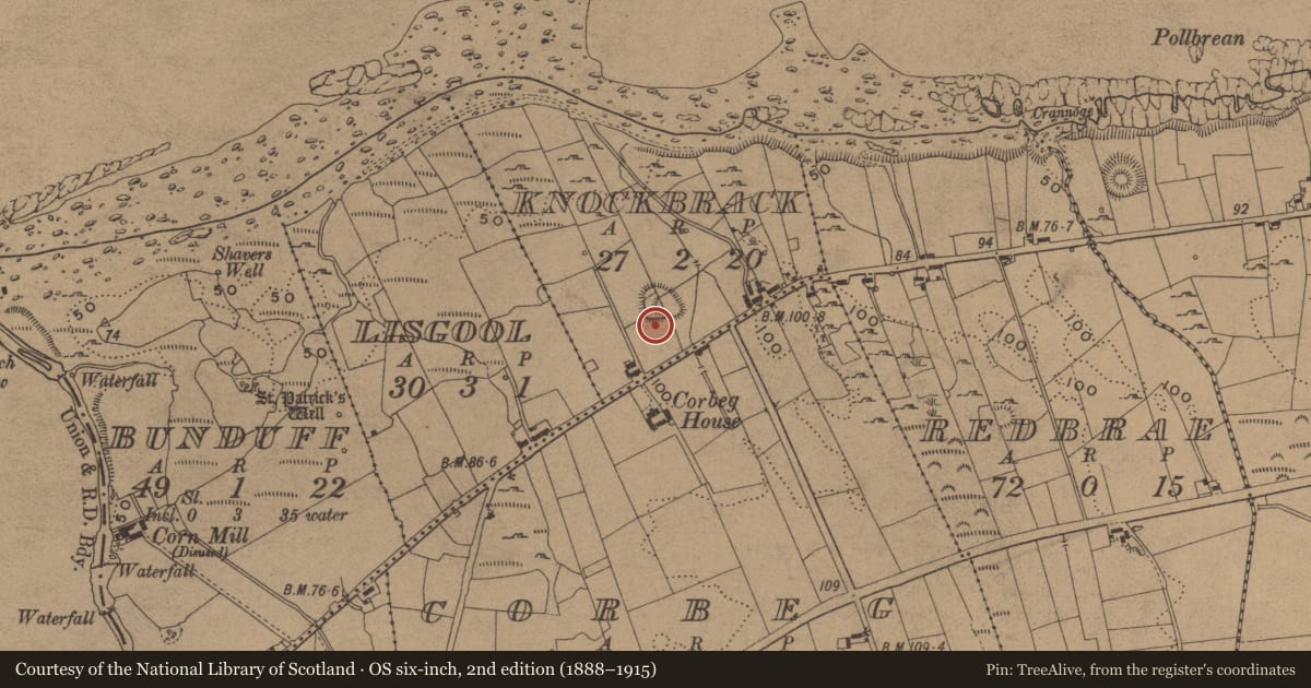 Ordnance Survey six-inch map, 2nd edition (1888–1915) covering the location of Ringfort - unclassified, Knockbrack, County Leitrim, with a pin at the register's coordinates