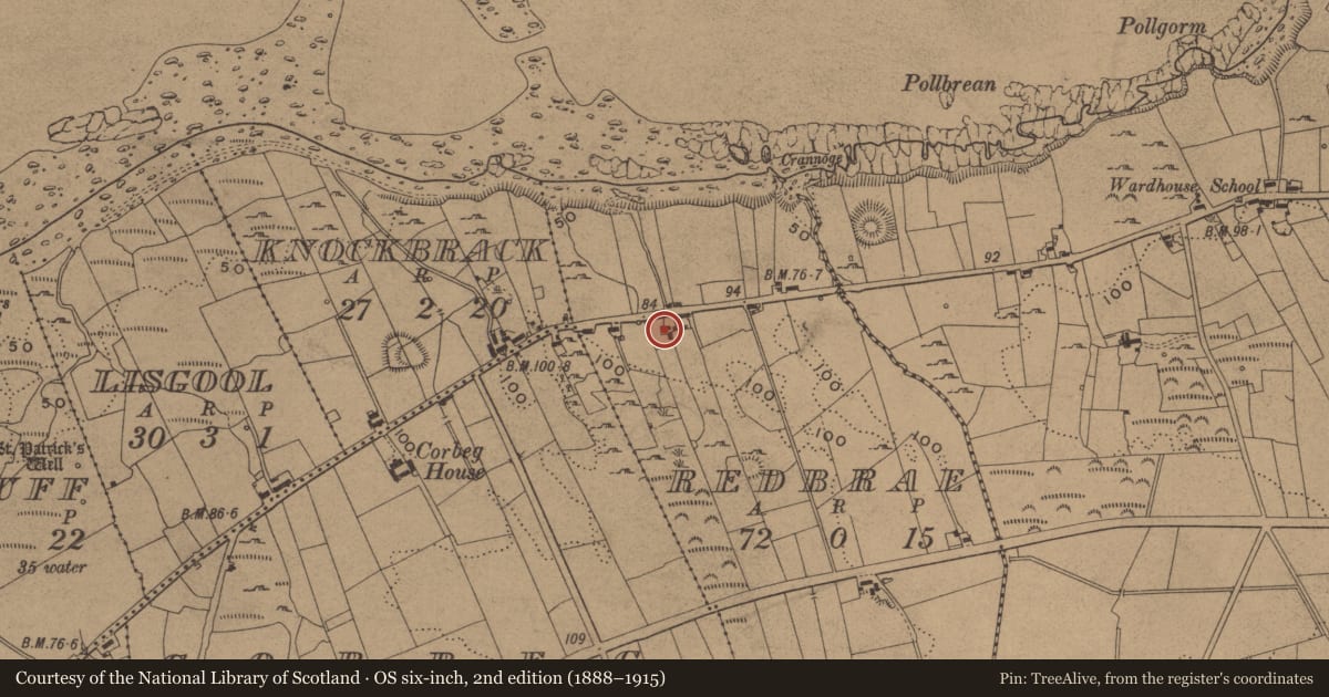 Ordnance Survey six-inch map, 2nd edition (1888–1915) covering the location of Hut site, Redbrae, County Leitrim, with a pin at the register's coordinates