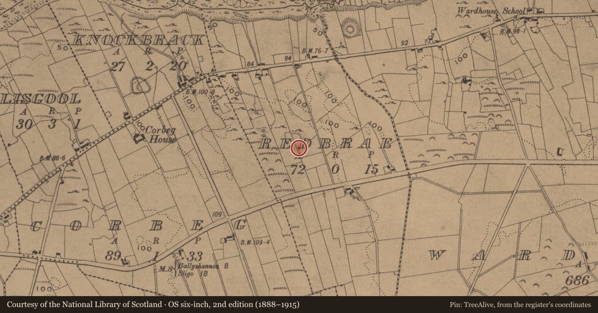 Ordnance Survey six-inch map, 2nd edition (1888–1915) covering the location of Ringfort - cashel, Redbrae, County Leitrim, with a pin at the register's coordinates