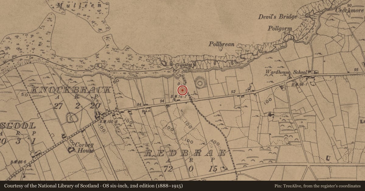 Ordnance Survey six-inch map, 2nd edition (1888–1915) covering the location of Standing stone, Redbrae, County Leitrim, with a pin at the register's coordinates