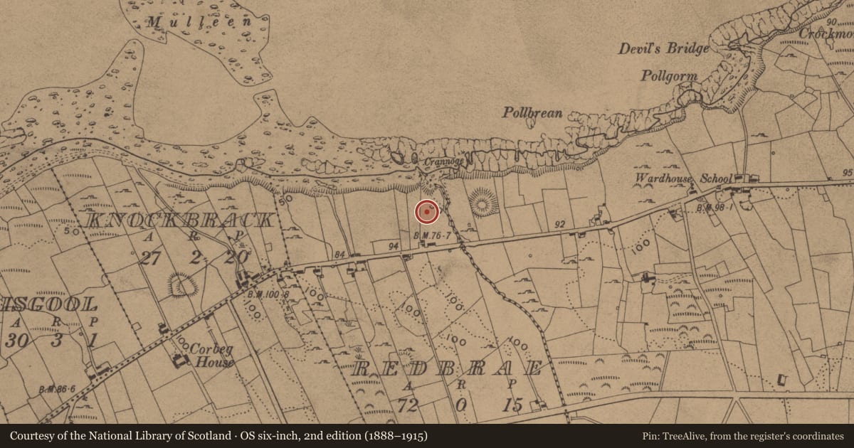 Ordnance Survey six-inch map, 2nd edition (1888–1915) covering the location of Standing stone, Redbrae, County Leitrim, with a pin at the register's coordinates
