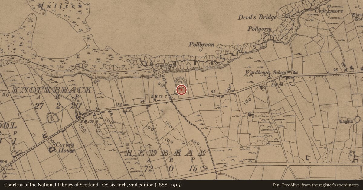 Ordnance Survey six-inch map, 2nd edition (1888–1915) covering the location of Barrow - ring-barrow, Wardhouse, County Leitrim, with a pin at the register's coordinates