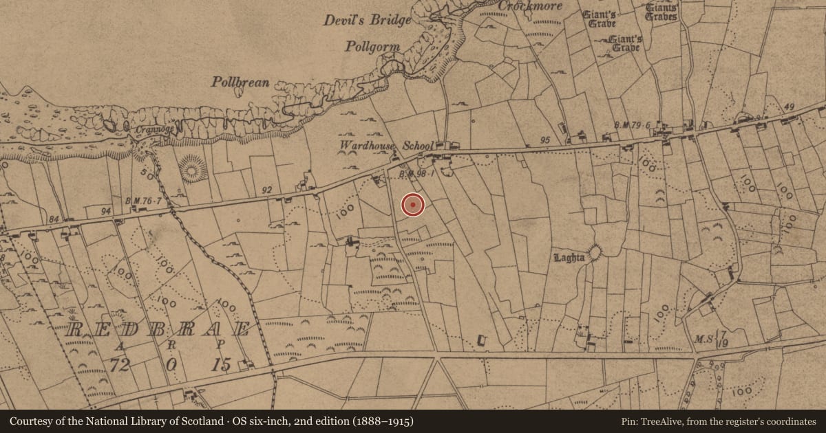 Ordnance Survey six-inch map, 2nd edition (1888–1915) covering the location of Standing stone, Wardhouse, County Leitrim, with a pin at the register's coordinates