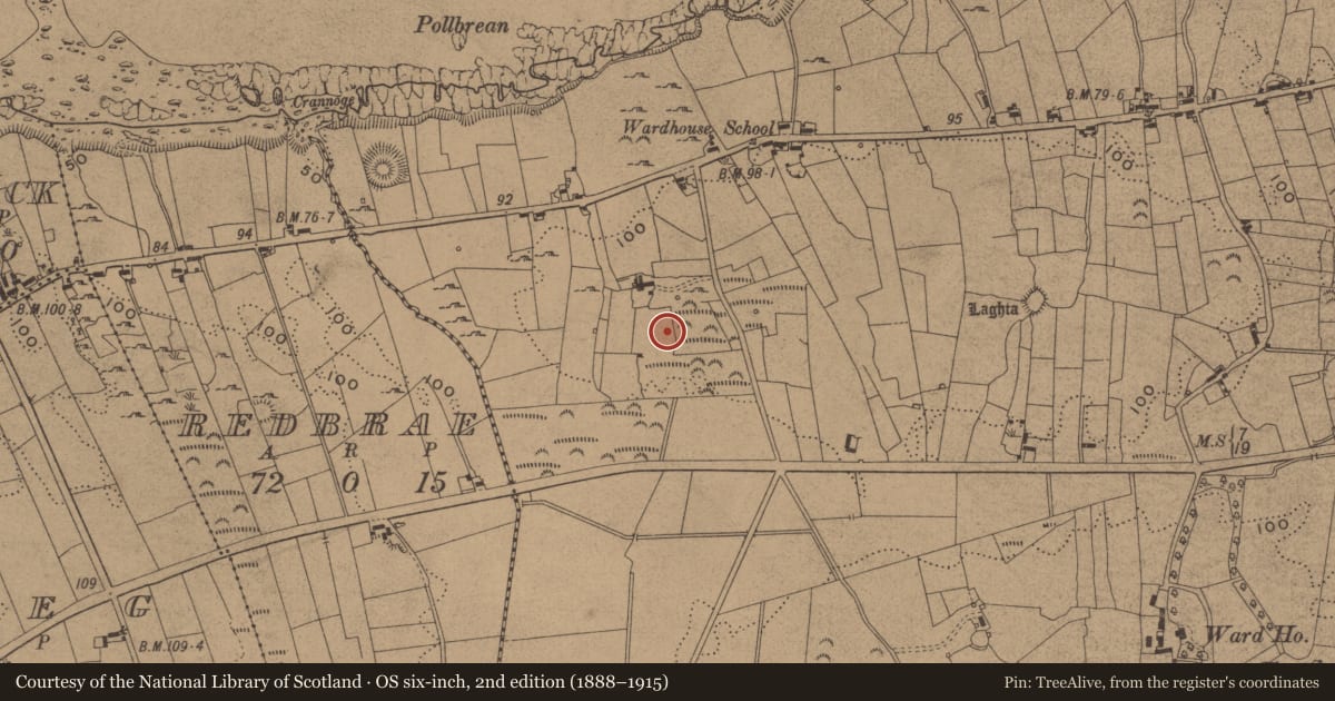 Ordnance Survey six-inch map, 2nd edition (1888–1915) covering the location of Standing stone, Wardhouse, County Leitrim, with a pin at the register's coordinates