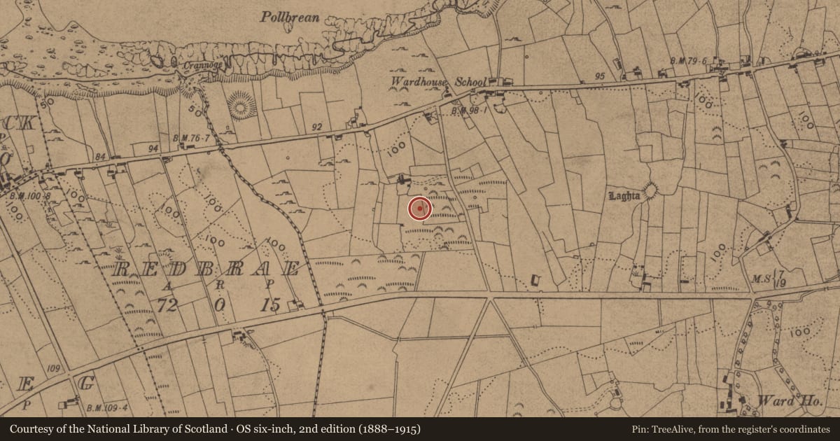 Ordnance Survey six-inch map, 2nd edition (1888–1915) covering the location of Standing stone, Wardhouse, County Leitrim, with a pin at the register's coordinates