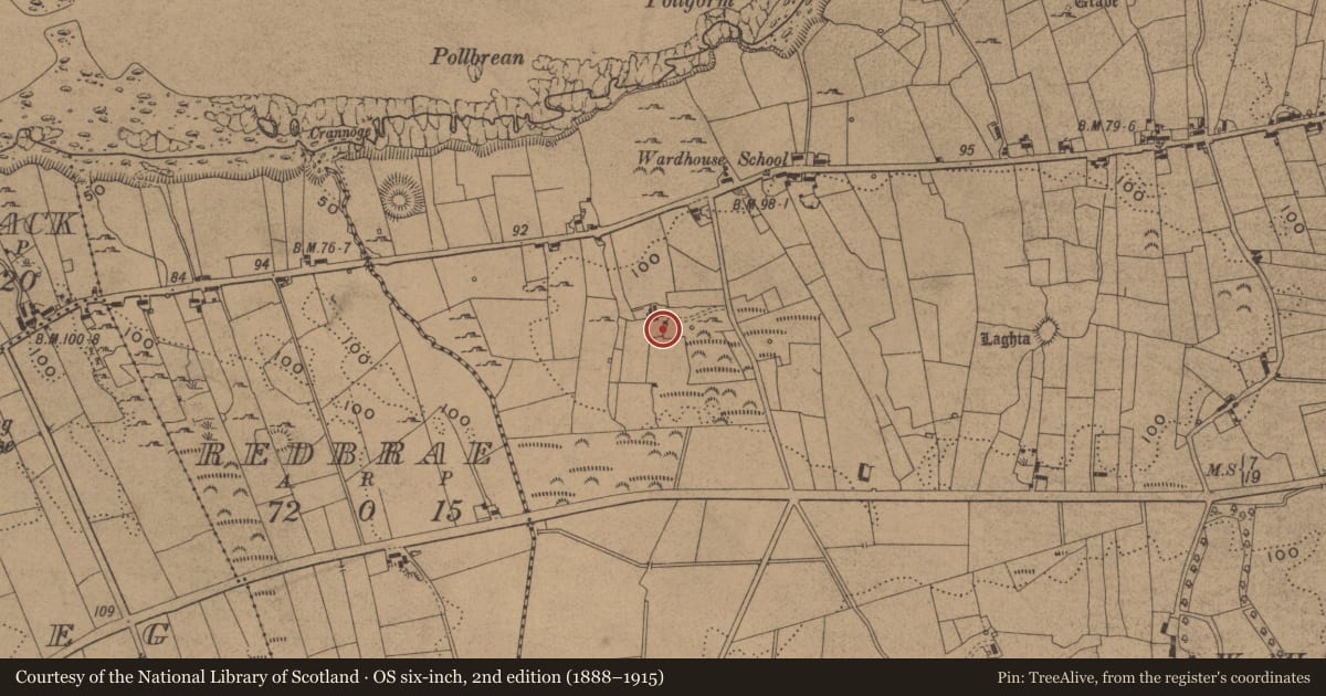Ordnance Survey six-inch map, 2nd edition (1888–1915) covering the location of Standing stone, Wardhouse, County Leitrim, with a pin at the register's coordinates