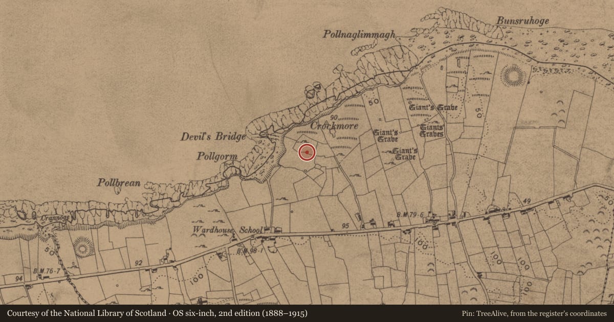 Ordnance Survey six-inch map, 2nd edition (1888–1915) covering the location of Standing stone, Wardhouse, County Leitrim, with a pin at the register's coordinates