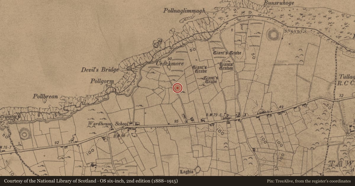 Ordnance Survey six-inch map, 2nd edition (1888–1915) covering the location of Megalithic structure, Wardhouse, County Leitrim, with a pin at the register's coordinates