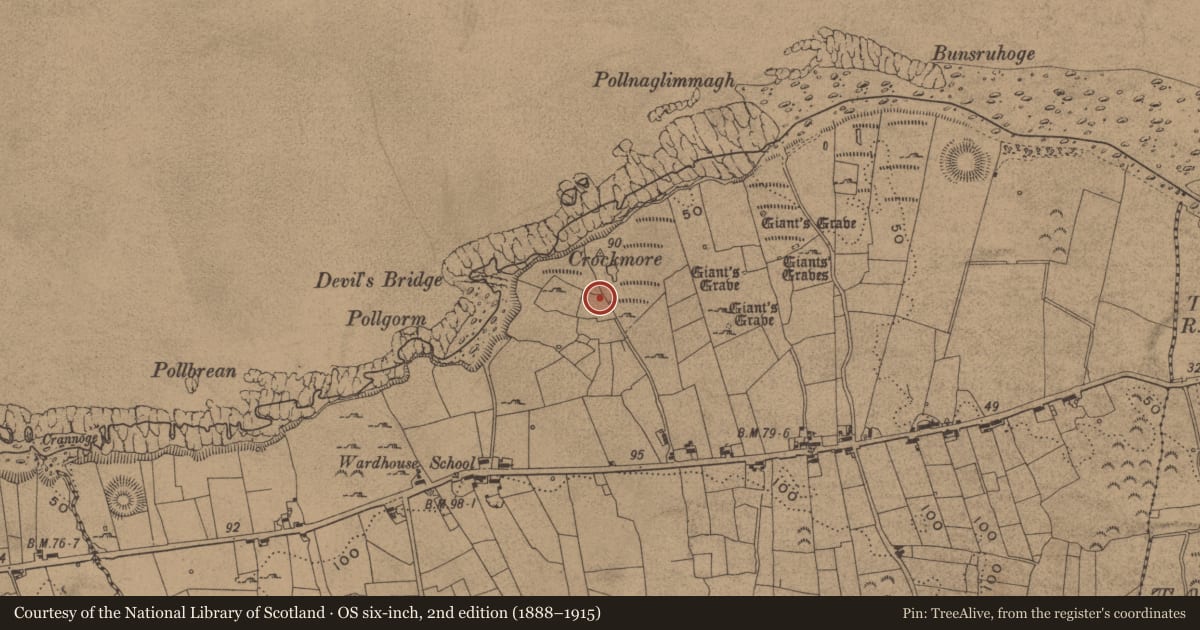 Ordnance Survey six-inch map, 2nd edition (1888–1915) covering the location of Standing stone, Wardhouse, County Leitrim, with a pin at the register's coordinates