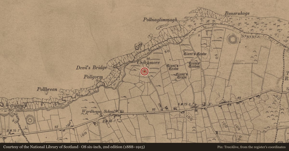 Ordnance Survey six-inch map, 2nd edition (1888–1915) covering the location of Standing stone, Wardhouse, County Leitrim, with a pin at the register's coordinates
