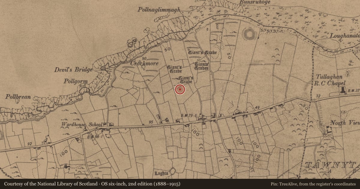 Ordnance Survey six-inch map, 2nd edition (1888–1915) covering the location of Megalithic tomb - portal tomb, Wardhouse, County Leitrim, with a pin at the register's coordinates