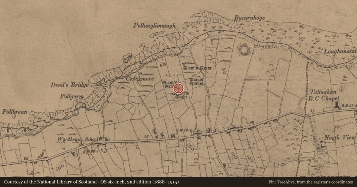 Ordnance Survey six-inch map, 2nd edition (1888–1915) covering the location of Megalithic tomb - court tomb, Wardhouse, County Leitrim, with a pin at the register's coordinates