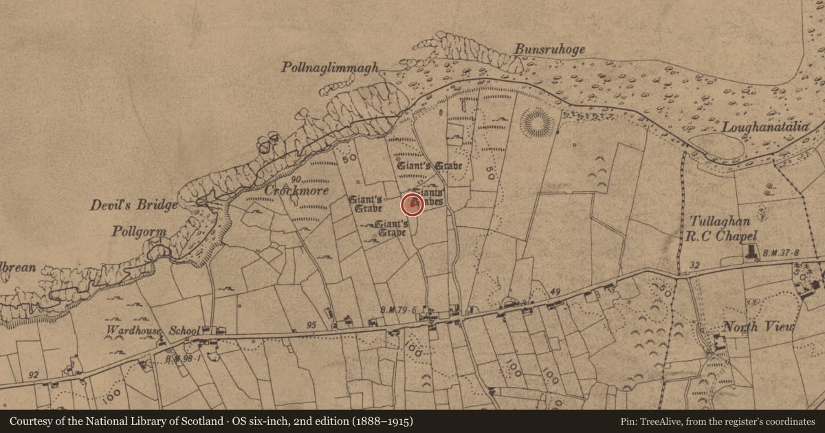 Ordnance Survey six-inch map, 2nd edition (1888–1915) covering the location of Megalithic tomb - portal tomb, Wardhouse, County Leitrim, with a pin at the register's coordinates