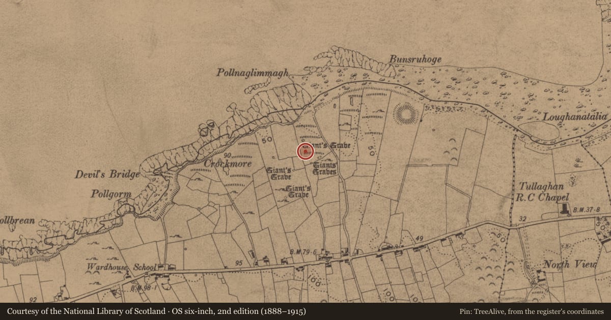Ordnance Survey six-inch map, 2nd edition (1888–1915) covering the location of Megalithic tomb - wedge tomb, Wardhouse, County Leitrim, with a pin at the register's coordinates