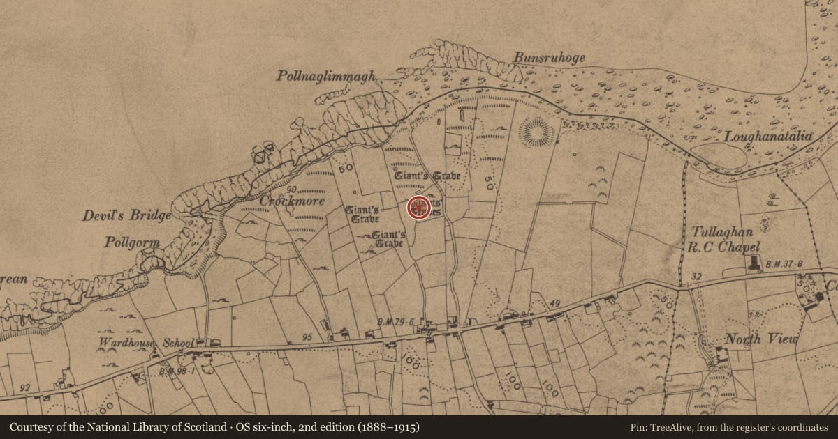 Ordnance Survey six-inch map, 2nd edition (1888–1915) covering the location of Megalithic tomb - court tomb, Wardhouse, County Leitrim, with a pin at the register's coordinates