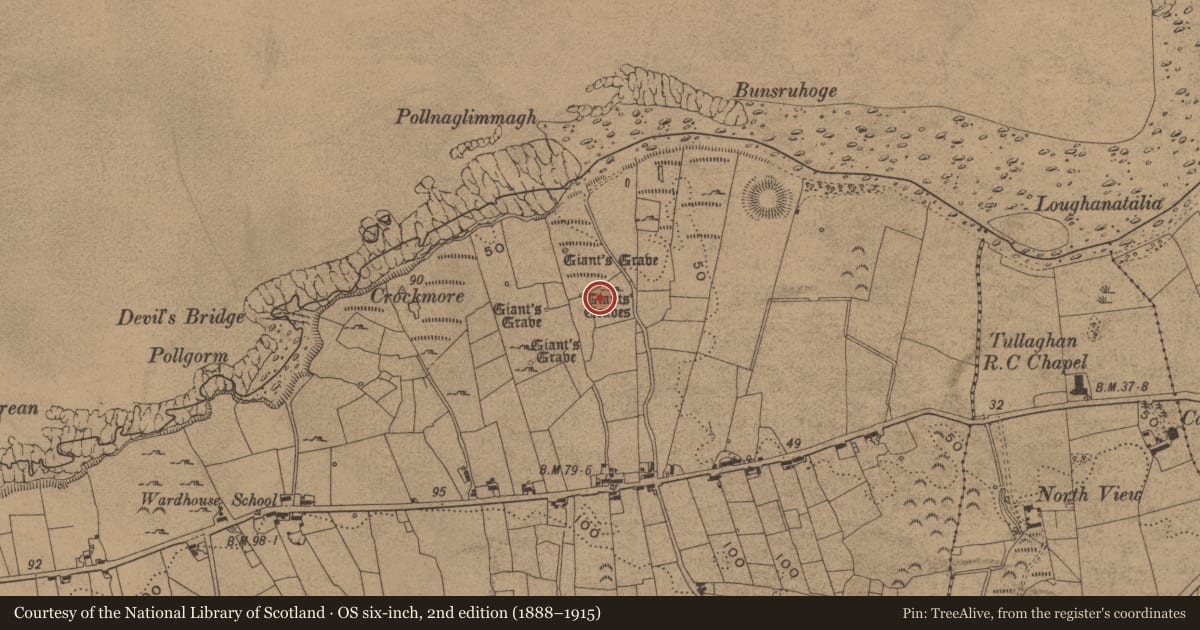Ordnance Survey six-inch map, 2nd edition (1888–1915) covering the location of Megalithic tomb - unclassified, Wardhouse, County Leitrim, with a pin at the register's coordinates