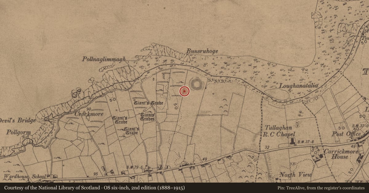 Ordnance Survey six-inch map, 2nd edition (1888–1915) covering the location of Standing stone, Wardhouse, County Leitrim, with a pin at the register's coordinates