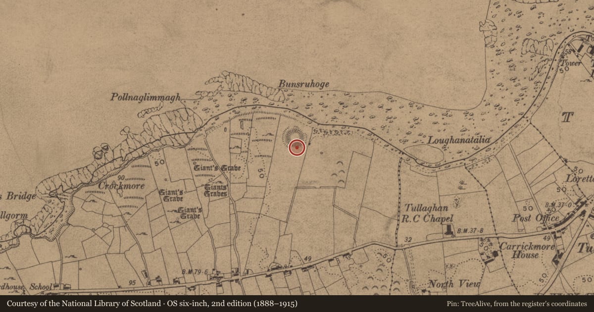 Ordnance Survey six-inch map, 2nd edition (1888–1915) covering the location of Ringfort - rath, Wardhouse, County Leitrim, with a pin at the register's coordinates
