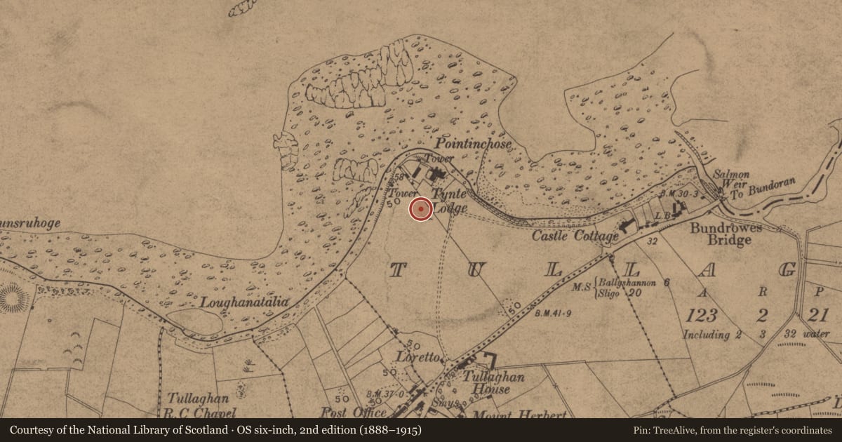 Ordnance Survey six-inch map, 2nd edition (1888–1915) covering the location of Standing stone, Tullaghan, County Leitrim, with a pin at the register's coordinates