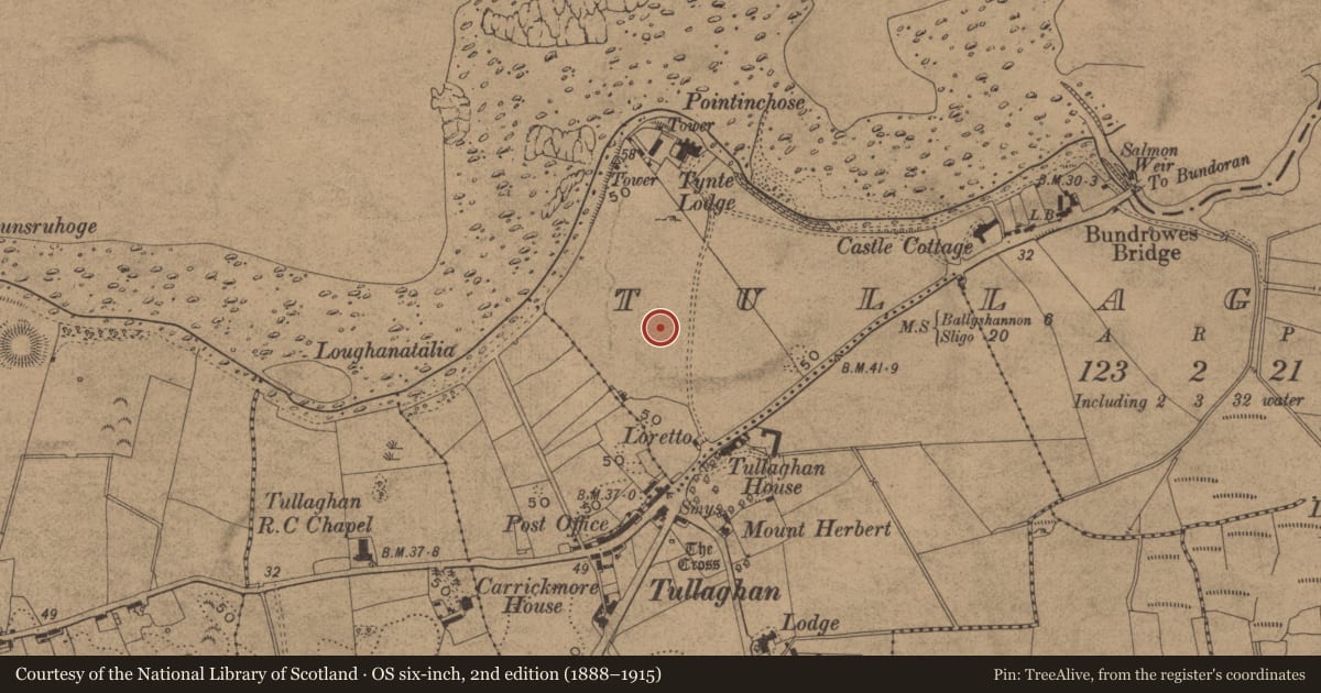 Ordnance Survey six-inch map, 2nd edition (1888–1915) covering the location of Cairn - unclassified, Tullaghan, County Leitrim, with a pin at the register's coordinates