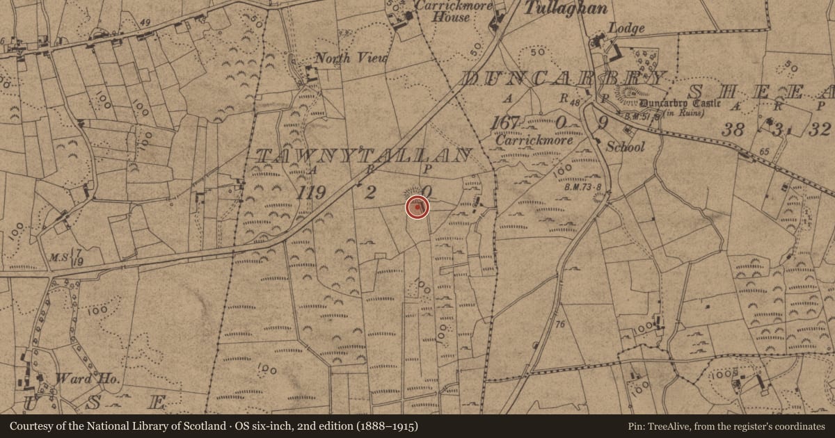 Ordnance Survey six-inch map, 2nd edition (1888–1915) covering the location of Ringfort - cashel, Tawnytallan, County Leitrim, with a pin at the register's coordinates