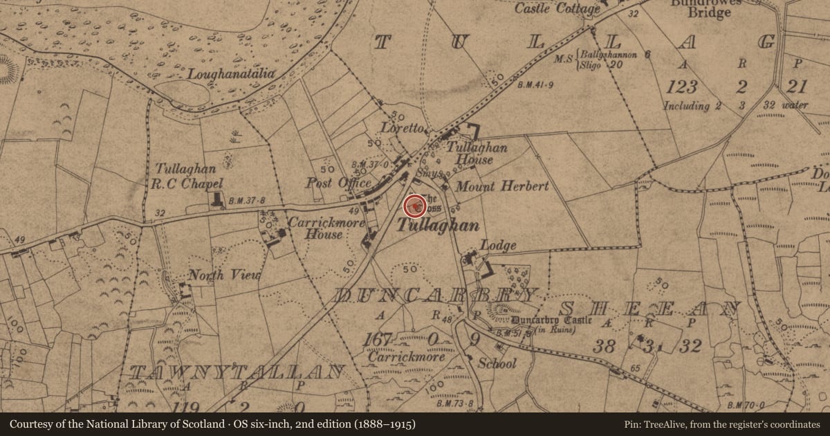 Ordnance Survey six-inch map, 2nd edition (1888–1915) covering the location of Cross - High cross, Duncarbry, County Leitrim, with a pin at the register's coordinates