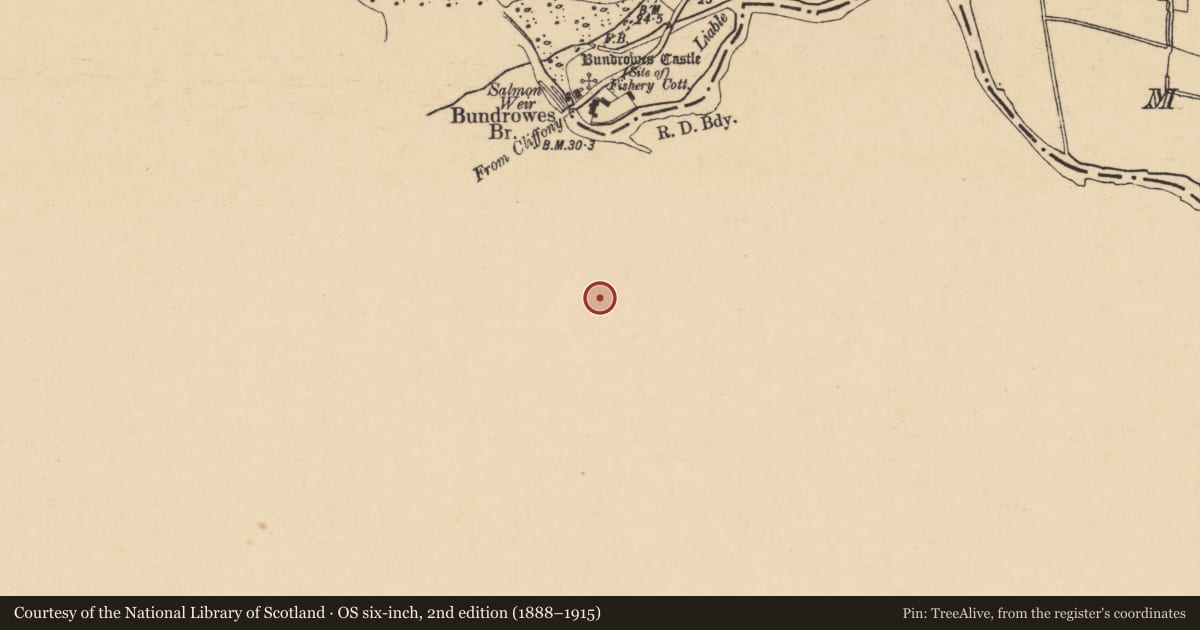 Ordnance Survey six-inch map, 2nd edition (1888–1915) covering the location of Enclosure, Tullaghan, County Leitrim, with a pin at the register's coordinates