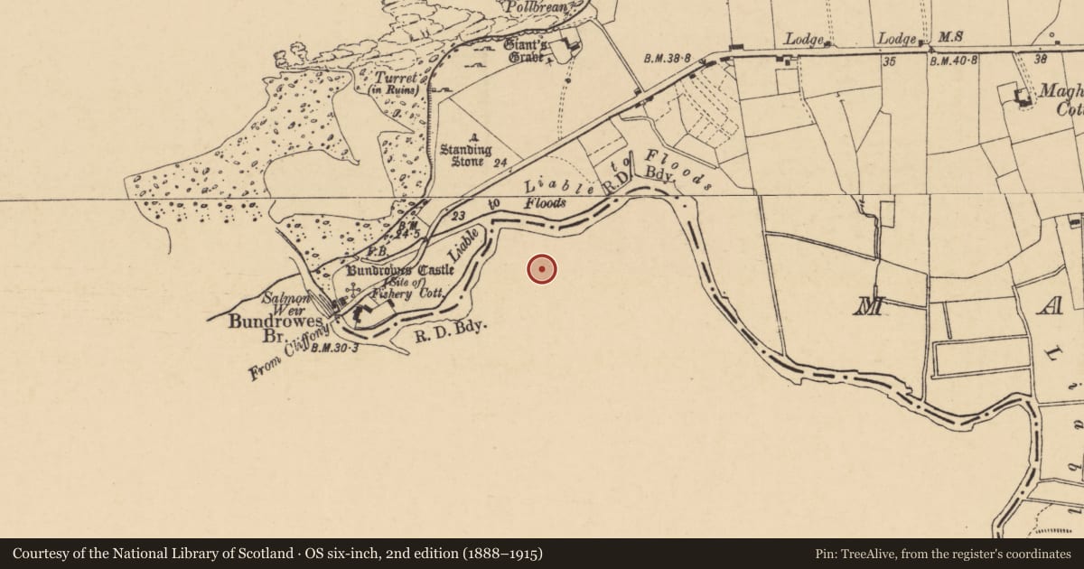 Ordnance Survey six-inch map, 2nd edition (1888–1915) covering the location of Linear earthwork, Tullaghan, County Leitrim, with a pin at the register's coordinates