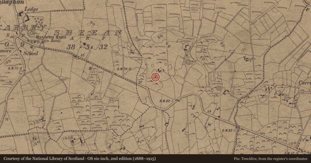 Ordnance Survey six-inch map, 2nd edition (1888–1915) covering the location of Ringfort - cashel, Doobally, County Leitrim, with a pin at the register's coordinates