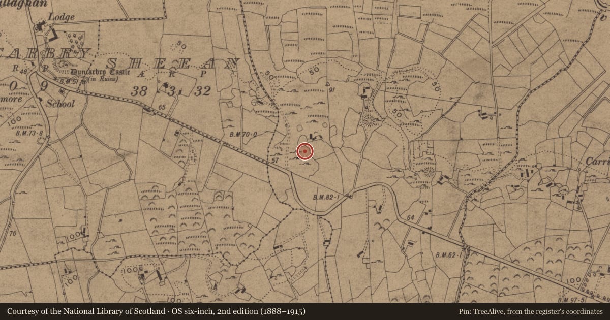 Ordnance Survey six-inch map, 2nd edition (1888–1915) covering the location of Bullaun stone, Doobally, County Leitrim, with a pin at the register's coordinates