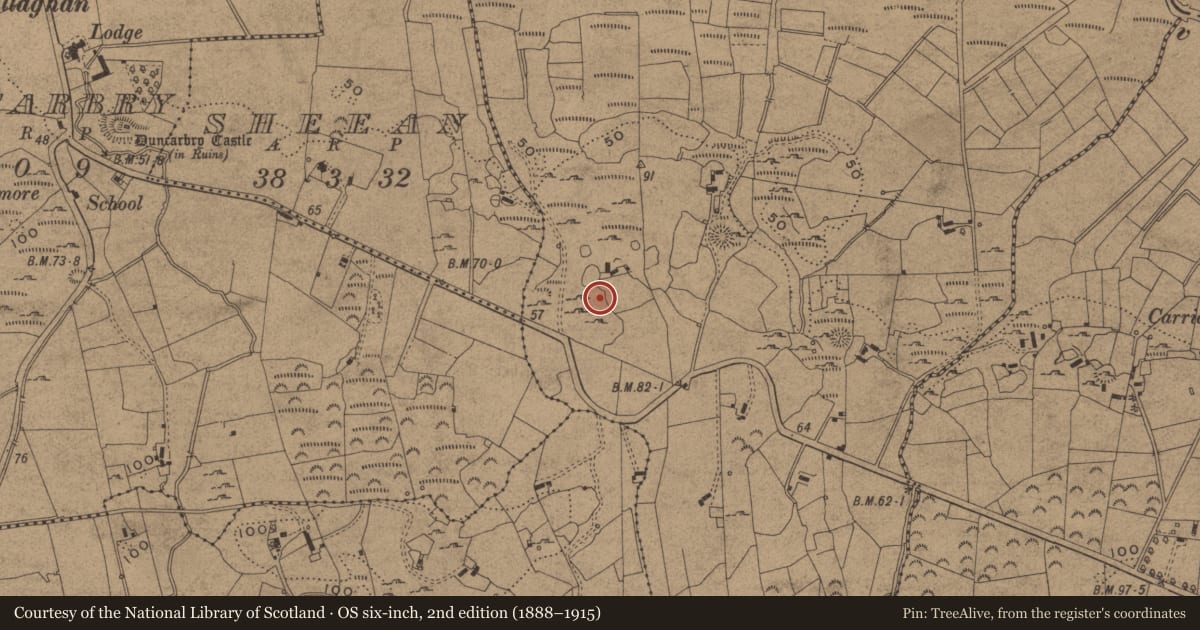 Ordnance Survey six-inch map, 2nd edition (1888–1915) covering the location of Inscribed stone, Doobally, County Leitrim, with a pin at the register's coordinates